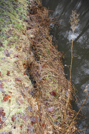 Canal Retaining Wall Erosion